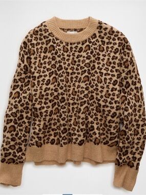 AE Whoa So Soft Classic Crew Neck Sweater